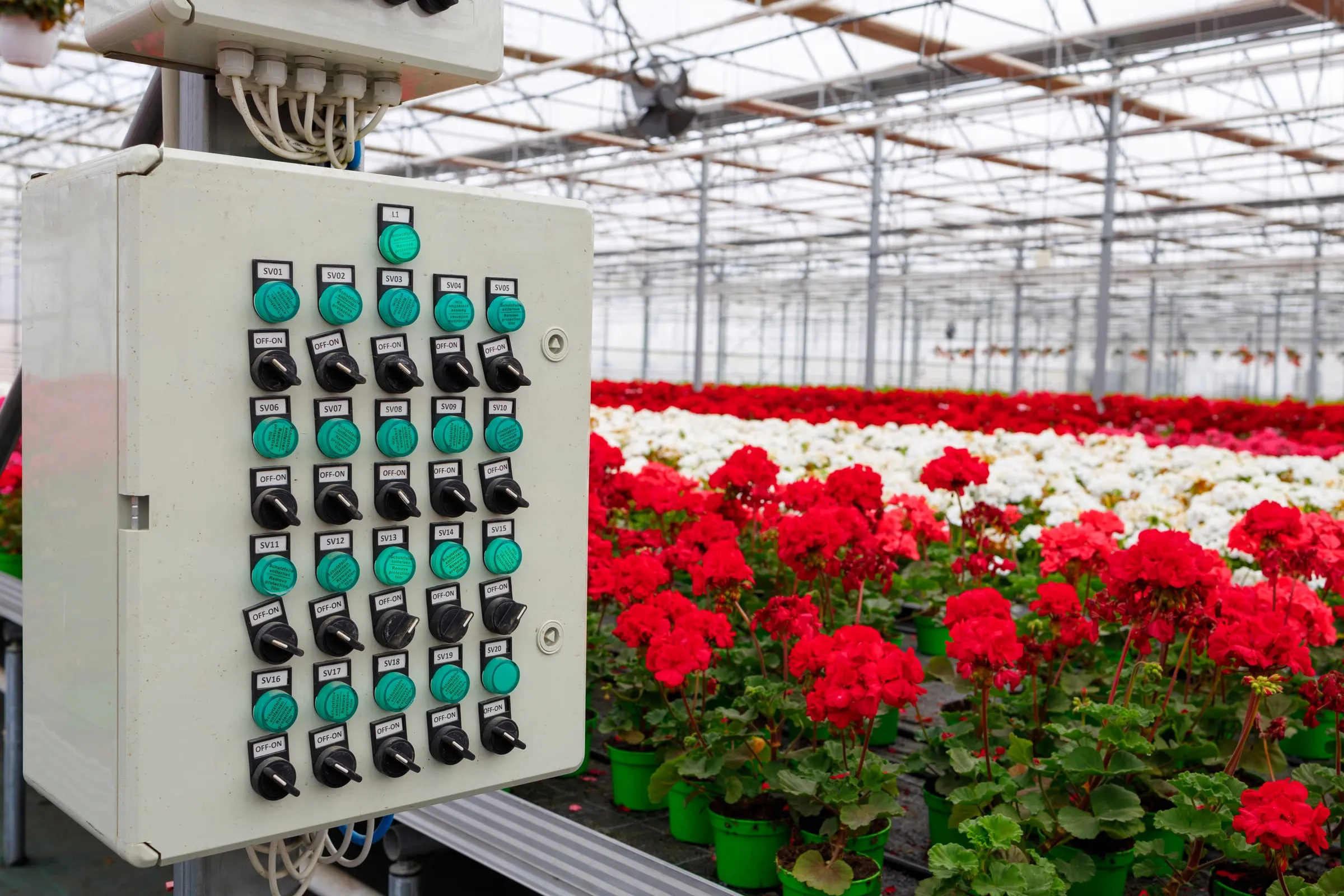 Greenhouse control panel beside flowering plants