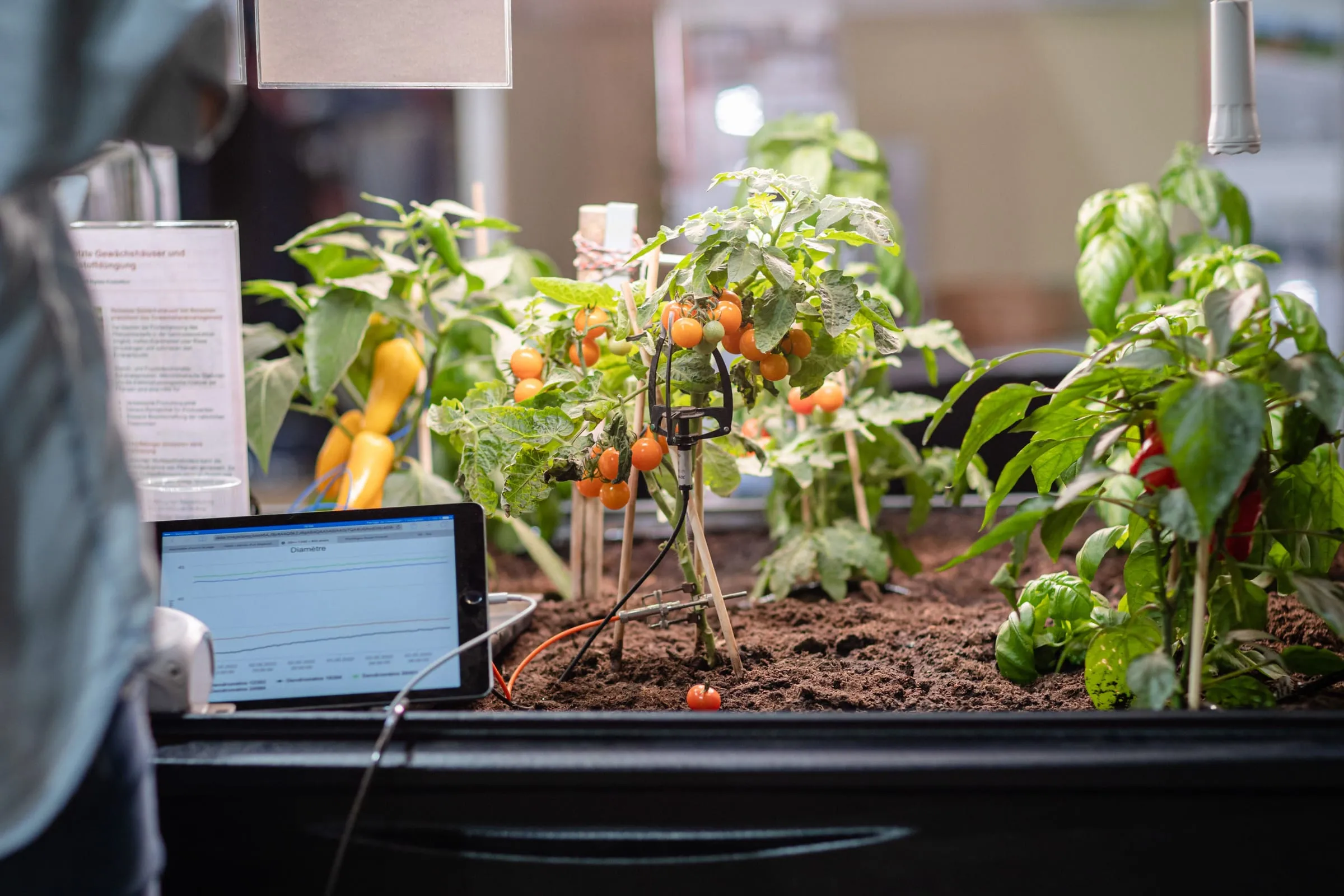 Automated indoor garden for agriculture planning