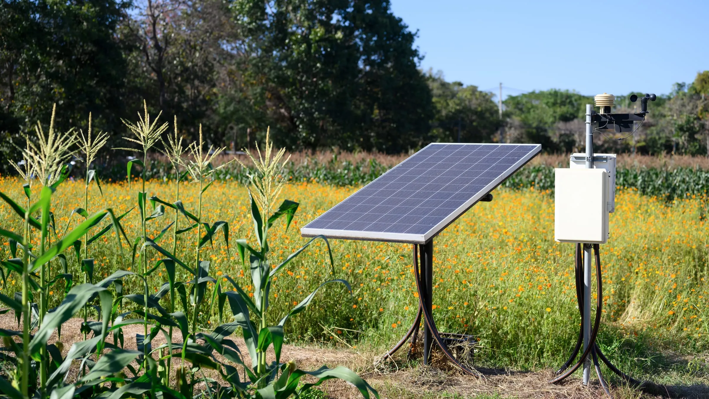 Solar panel and weather station in a rural field